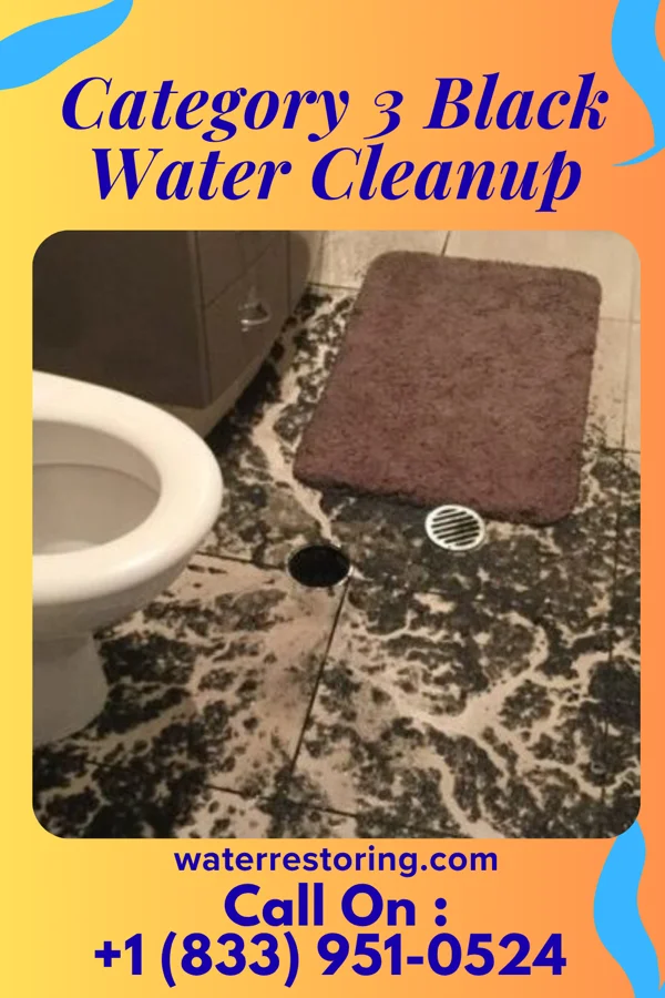 Category 3 Black Water Cleanup in Whitewood, SD