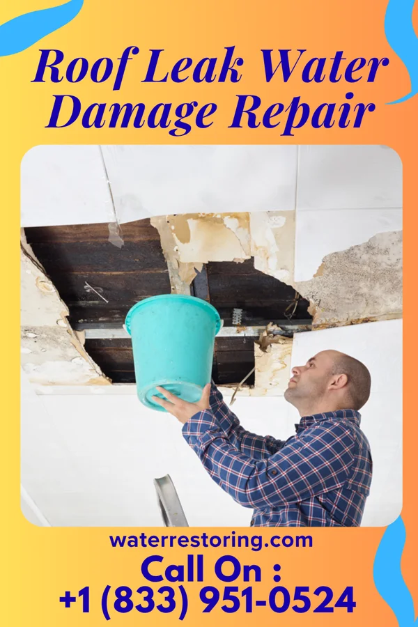 Roof Leak Water Damage Repair in Whitewood, SD
