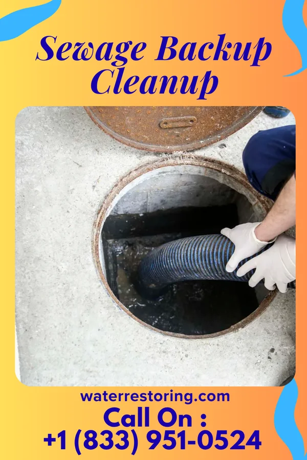 Sewage Backup Cleanup in Whitewood, SD
