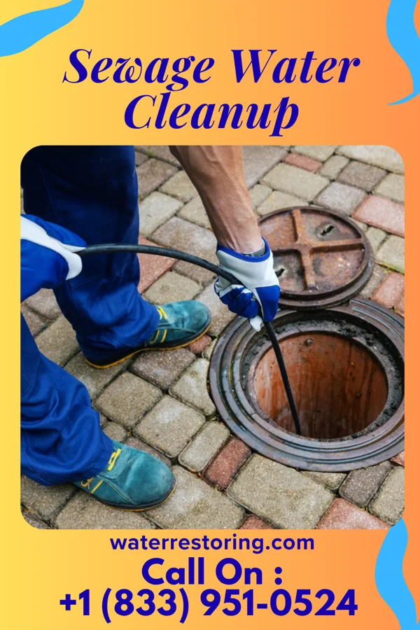 Sewage Water Cleanup in Whitewood, SD